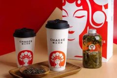 霸王茶姬品牌实力如何?霸王茶姬加盟政策十分优惠